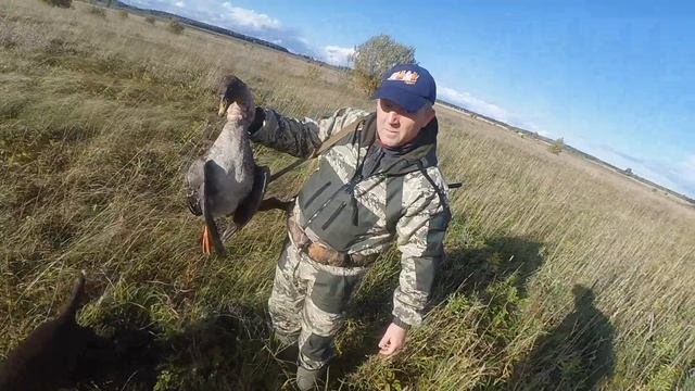 Взяли здорового гуся с подхода! смотреть онлайн