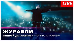 Андрей Державин "Журавли" (live Раменское 13.10.24)