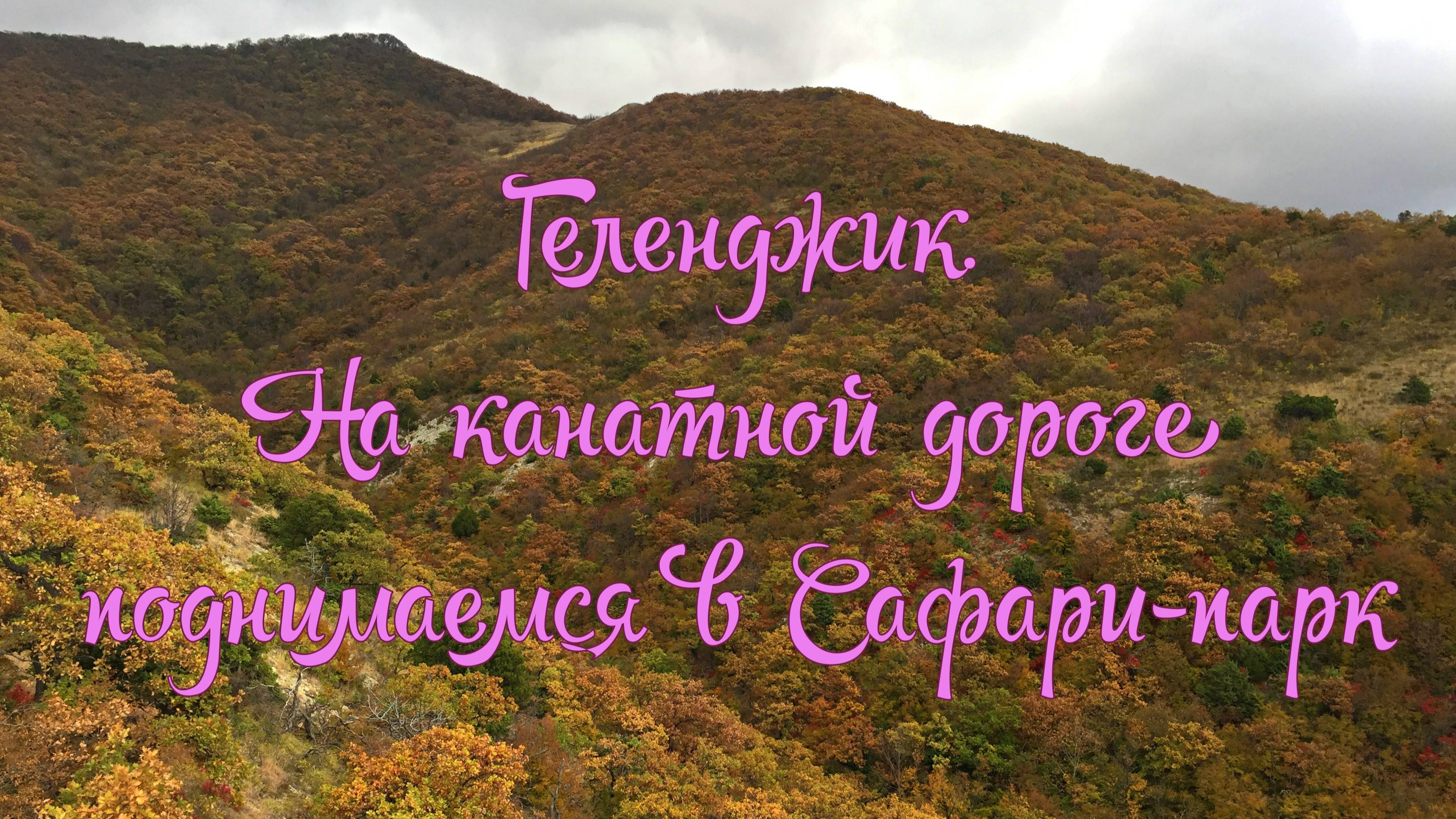 Поднимаемся по канатной дороге в сафари-парк в Геленджике