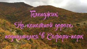 Поднимаемся по канатной дороге в сафари-парк в Геленджике