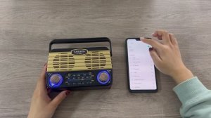 XHDATA D-902 radio connect to bluetooth