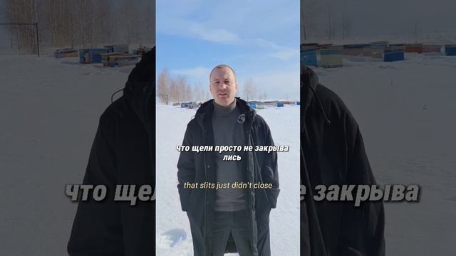 #ЯПчеловод Иван Кабанов. Пасека в Каширском районе МО. Опыт с 2010. Породы: Карника и Бакфаст.