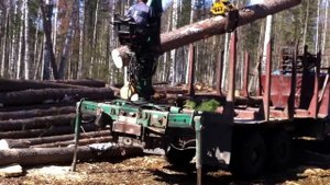 Эстонский Фискарист - погрузка леса (Прикол)