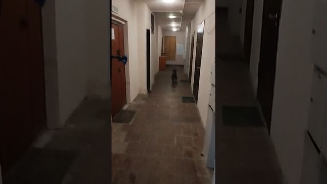 3 серия. Часть 1. Батарейка Квадробера разрядилась.