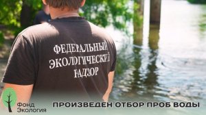 Фонд Экология совместно с РСХБ и Росприроднадзором провели в Курске акцию по очистке берега р. Сейм