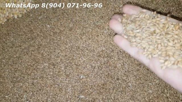 Обзор линии производства гранул и пеллет Соловей 6 часть 2 смотреть онлайн