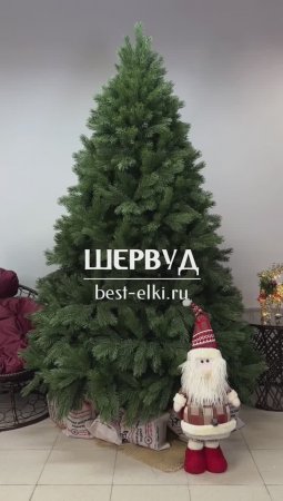 Ель искусственная «ШЕРВУД». Обзор новогодней елки. Елки на best-elki.ru🌲Доставка по России🇷🇺