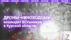 Ударный дрон «Иноходец» наводит ужас на ВСУ в курском приграничье