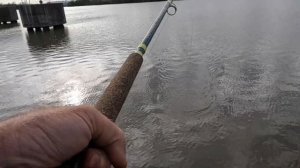 When Rocks Move, Catfish Fishing