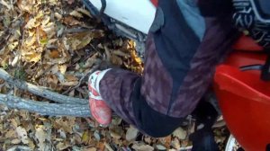 По осеннему лесу на эндуро в Приморье 31.10.21.