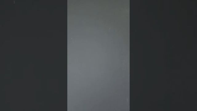 Отзыв о двери Промет Рефлект