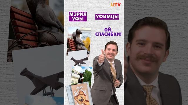 Когда власть знает, что нужно народу #мем #куница #уфа