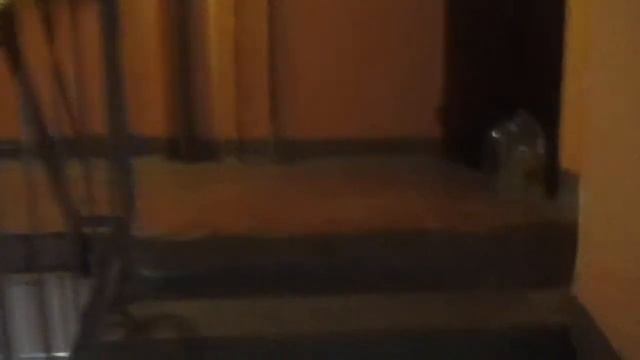 Лифт СЛЗ (1979 Г.В) V=0,71 М/C Q=320 КГ Верхнеполевая улица, 23 Подъезд №1 смотреть онлайн