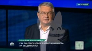 Налог на бездетность должен составлять 30-40 тысяч рублей в месяц, — директор МФЭИ Алексей Зубец