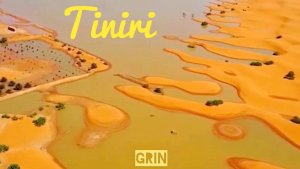 🟨GRIN (feat. Aivi) - Tiniri...☀️