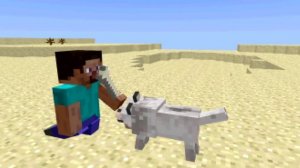 minecraft animation wolf