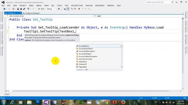 How to set the Tooltip on controls in VB NET 2012 смотреть онлайн