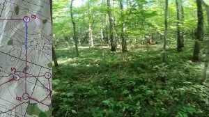 Чемпионат Казани по спортивному ориентированию, классика на Дубравной