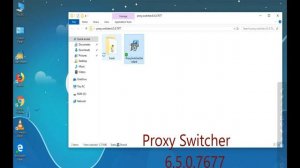 proxy switcher PRO (6.5.0.7677) 2019