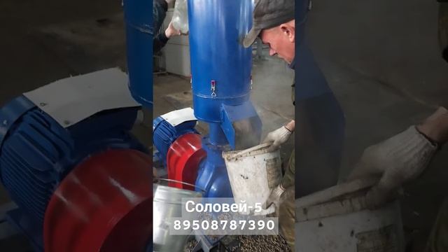 Гранулятор комбикорма и пеллет Соловей-5. Курский завод гранулятов +79508787390 смотреть онлайн