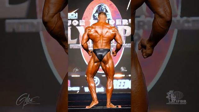 2024 Olympia Classic Physique — Wesley Vissers #mrolympia #mrolympia2024