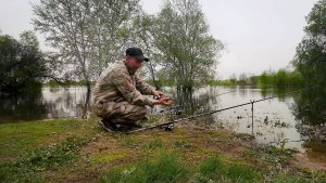 Клёв крупного карася на донную снасть. Рыбалка весной. Разлив река Ворона