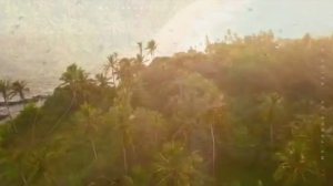 Если в сердце живет любовь