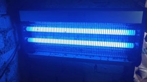 Лампа для перепелятни от нашествия мух, пришла, испытываем | ЛПХ Курочка