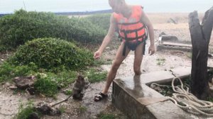 Обезьянки они такие... но лучше от них подальше быть..
Ni(Cho)Si_DeliShki