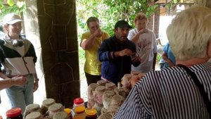 полезность мёда