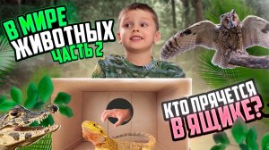 Угадай животное в черном ящике! Часть 2