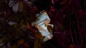 АЛЕКСАНДР БЕССМЕРТНЫЙ I Синий цвет Deluxe version I Audio EP I Книга «Вспоминая Душу» (ЭКСМО, 2024)