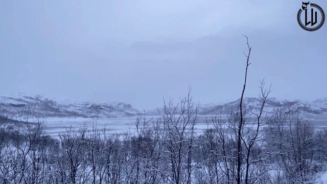 Драконесса. Часть вторая. Воплощение.