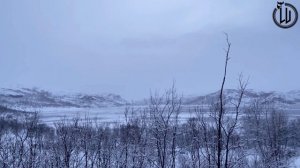 Драконесса. Часть вторая. Воплощение.