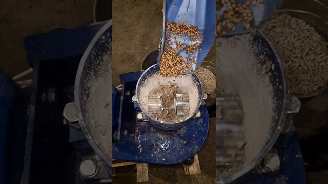 Как работает гранулятор с подвижной матрицей? Гранулятор ГДР-125 с мотором 2,2 кВт/час.