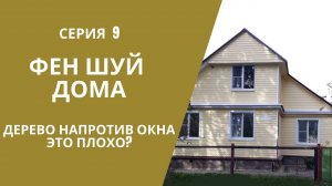 СЕРИЯ 9: ДЕРЕВО НАПРОТИВ ОКНА. ЭТО ПЛОХО?