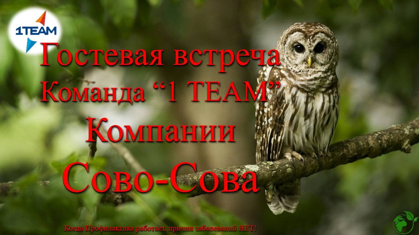 Что предлагает нам компания Сово-Сова. Руководитель ЦО Чишмы-918 - Р. Нигматуллина. 19.12.2023