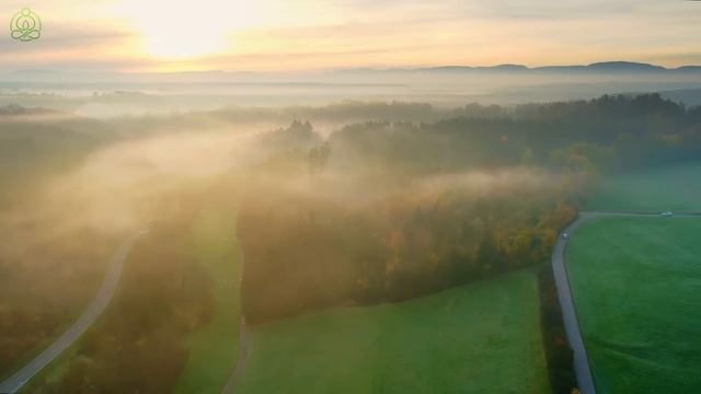 Music heals the heart with Autumn🍁 Gentle music restores the nervous system and satisfies the soul смотреть онлайн