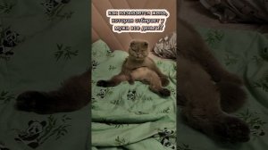 как называется жена,которая отбирает у мужа все деньги?