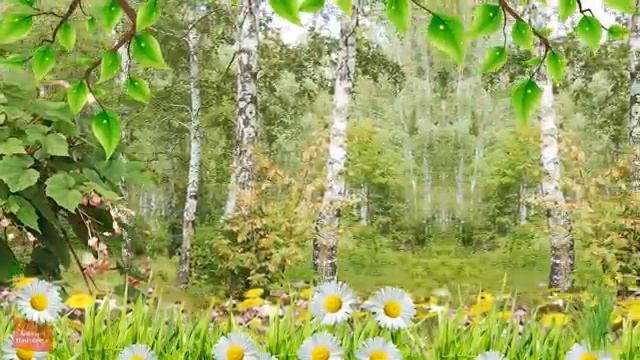 Аленушка, с Днем рождения !