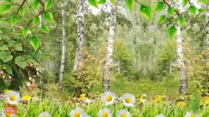 Аленушка, с Днем рождения !