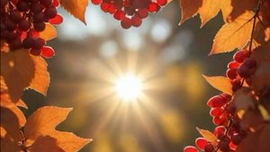 Желаю Доброго Дня и Хорошего Настроения - Красивое Пожелание Доброго Дня