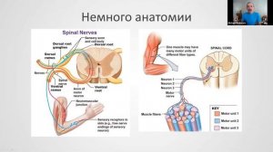 Что такое ЭМГ? | Вебинар «ЭМГ для начинающих» Часть 1