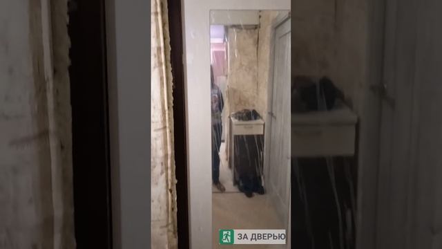 Отзыв о двери Цитадель зеркало макси (MAXI)