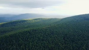 Пролетая над тайгой / Тайга Сибири / Природа Сибири / Flying over the taiga / Taiga of Siberia
