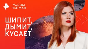 Шипит, дымит, кусает — Тайны Чапман (19.12.2023)