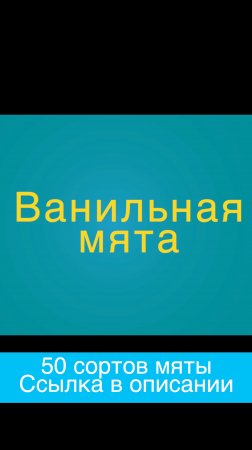 Ванильная МЯТА