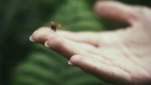 Бутик-отель «Август» | Отдых на Алтае