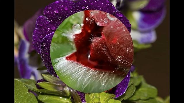 КАПЕЛЬКИ ДОЖДЯ смотреть онлайн