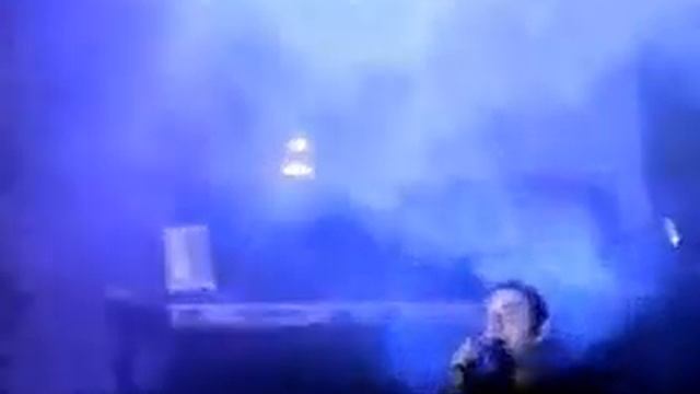 Mango - Australia (Trani 2005)